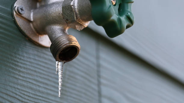 Best Residential Plumbing Services  in Chesnut Hill, PA
